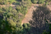 B1961052