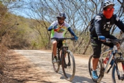 U1952084