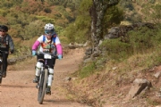 K1954190