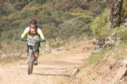 W1953765