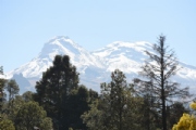 W1958881
