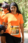 T1965253
