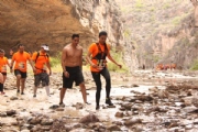 N1967547