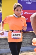 T1970447