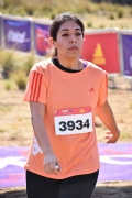 T1971241