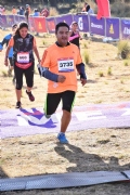 T1976786