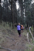 H1984806