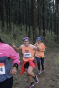 J1984517