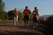 L1982651