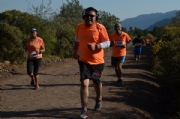 S1981249
