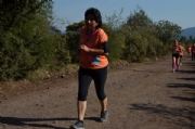 T1979653