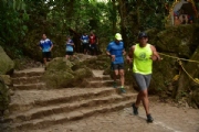 C1995246
