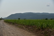 Y1993729