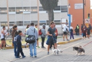 F2009057