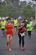 J2013772