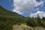 N2049253