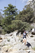 D2056581