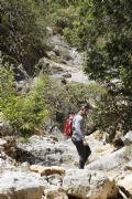 L2057058