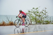 C2019594
