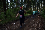 H2036734