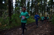 H2038834