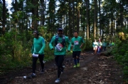 K2036606