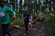 K2039216