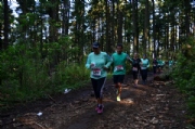 M2039199