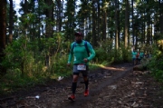 N2037913