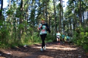 X2037133