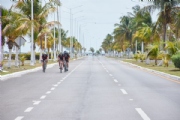 P2023775