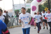 K2041236
