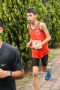 J2065286
