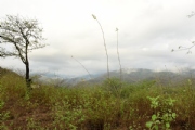 P2075138