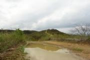 P2075388