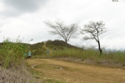 S2075970