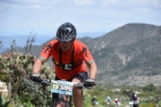 G2119456