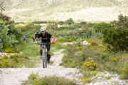 T2121876