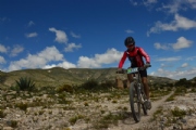 J2111279