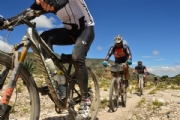 O2112039