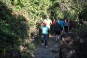 L2167849
