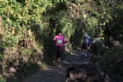 L2167937