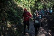 L2167991