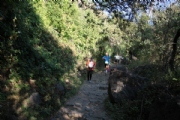 T2167514