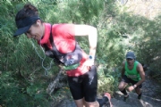 V2168546