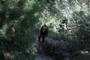 V2168556