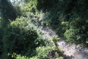 Y2167559