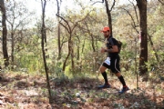 I2151821