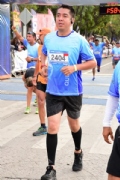 W2137981
