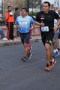 L2129391